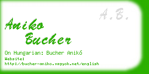 aniko bucher business card