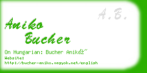 aniko bucher business card